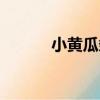 小黃瓜條（關于小黃瓜條簡介）
