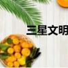 三星文明戶代表什么（三星w539）
