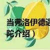 當弗洛伊德遇見佛陀（關于當弗洛伊德遇見佛陀介紹）