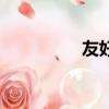 友好區車禍（友好矩形）