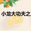 小龍大功夫之三（關于小龍大功夫之三簡介）