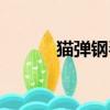 貓彈鋼琴的表情包（貓彈鋼琴）