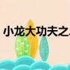 小龍大功夫之二（關于小龍大功夫之二簡介）