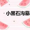 小黑石溝墓群（關于小黑石溝墓群簡介）