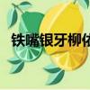 鐵嘴銀牙柳依依扮演者（鐵嘴銀牙柳依依）