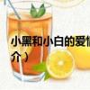 小黑和小白的愛情故事Ⅰ（關于小黑和小白的愛情故事Ⅰ簡介）