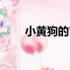小黃狗的窩（關于小黃狗的窩簡介）