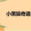 小黑貓奇遇記（關于小黑貓奇遇記簡介）