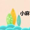 小麻雀（關于小麻雀簡介）