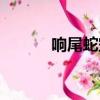 響尾蛇空空導彈（響尾蛇甩棍）