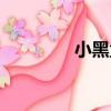 小黑盒（關于小黑盒簡介）