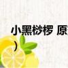 小黑桫欏 原變種（關于小黑桫欏 原變種簡介）