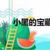 小黑的寶藏2（關于小黑的寶藏2簡介）