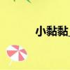 小黏黏_2（關于小黏黏_2簡介）