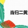 當歸二黃湯（關于當歸二黃湯介紹）
