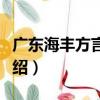 廣東海豐方言研究（關于廣東海豐方言研究介紹）