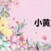 小黃皮（關于小黃皮簡介）