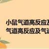 小鼠氣道高反應及氣道阻力與肺順應性分析系統（關于小鼠氣道高反應及氣道阻力與肺順應性分析系統簡介）