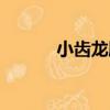 小齒龍膽（關于小齒龍膽簡介）