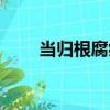 當歸根腐病（關于當歸根腐病介紹）