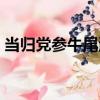 當歸黨參牛尾湯（關于當歸黨參牛尾湯介紹）