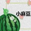 小麻豆星（關于小麻豆星簡介）