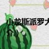 小龍斯派羅大冒險（關于小龍斯派羅大冒險簡介）