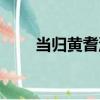 當歸黃耆湯（關于當歸黃耆湯介紹）