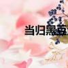 當歸黑豆湯（關于當歸黑豆湯介紹）