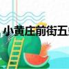 小黃莊前街五條（關于小黃莊前街五條簡介）