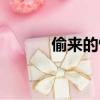 偷來的情人小說（偷來的情人）