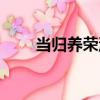 當歸養榮湯（關于當歸養榮湯介紹）
