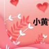 小黃管（關于小黃管簡介）
