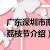 廣東深圳市南山荔枝節（關于廣東深圳市南山荔枝節介紹）