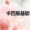 卡巴斯基軟件卸載密碼（卡巴斯基軟件）