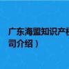 廣東海盟知識產權有限公司（關于廣東海盟知識產權有限公司介紹）