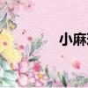 小麻球（關于小麻球簡介）