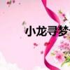 小龍尋夢記（關于小龍尋夢記簡介）