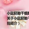小鼠胚胎干細胞中Cdk1和Oct4對Cdx2基因表達的調控（關于小鼠胚胎干細胞中Cdk1和Oct4對Cdx2基因表達的調控簡介）