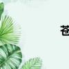 蒼神錄ios（蒼神錄）