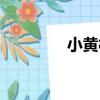 小黃樹（關于小黃樹簡介）