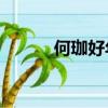 何珈好年齡51歲（何珈好年齡）