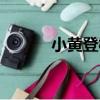 小黃登村（關于小黃登村簡介）