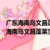 廣東海南島文昌蓬萊寶石礦區牛姆嶺－新嶺礦段（關于廣東海南島文昌蓬萊寶石礦區牛姆嶺－新嶺礦段介紹）