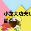 小龍大功夫1(VCD)（關于小龍大功夫1(VCD)簡介）