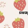 swap swap（swapbug）