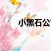小黑石公寓（關于小黑石公寓簡介）