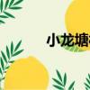 小龍塘村（關于小龍塘村簡介）