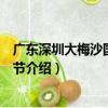 廣東深圳大梅沙國際沙雕節（關于廣東深圳大梅沙國際沙雕節介紹）