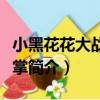 小黑花花大戰仙人掌（關于小黑花花大戰仙人掌簡介）